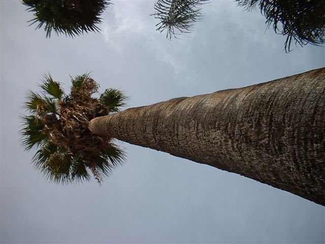 DSCF0012.JPG, 62 KB